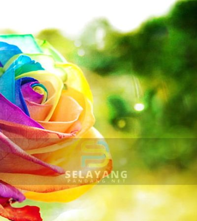 Tanpa kita sedar, rupanya ada 10 nama warna dalam bahasa Melayu yang jarang kita gunakan